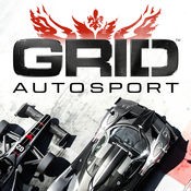 GRID Autosport (1.9.3)