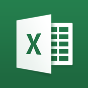 Microsoft Excel (2.0.3)