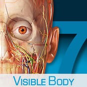 Human Anatomy Atlas – 3D Anatomical Model of the Human Body (8.0.27)