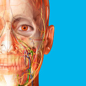Human Anatomy Atlas 2025 (2025.0.12)