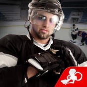 Hockey Fight Pro (1.71)