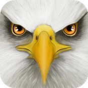 Ultimate Bird Simulator (1.2)