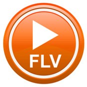 FLV Player (2015.722.1220.366)