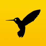 Hemingboard: Synonyms, Rhymes, Puns in Your Keyboard (2.2)