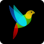 G30 - Лабиринт памяти (1.6)