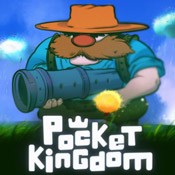 Pocket Kingdom - Tim Tom's Journey (1.0.14)