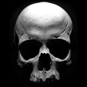 Sons of Anarchy: The Prospect (1.3)