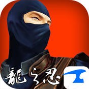 Dragon Ninja 3D (1.0)