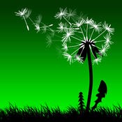 Leaf on the Wind (1.2.1)