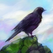 Gathering Sky (1.0.1)