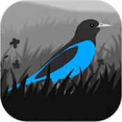 Grayland (1.6.05.02281)