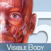 Muscle Premium (6.0.31)