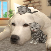 with My Buddy (1.0.11)